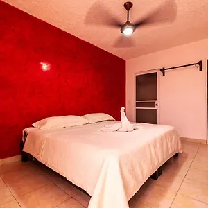 Caribe Express 2*, Cozumel México